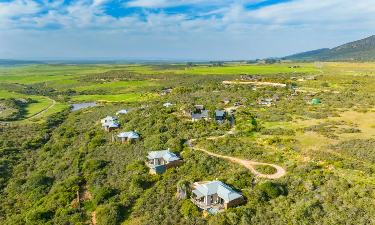 garden route game lodge gallery 6 garden route game lodge gallery 6
