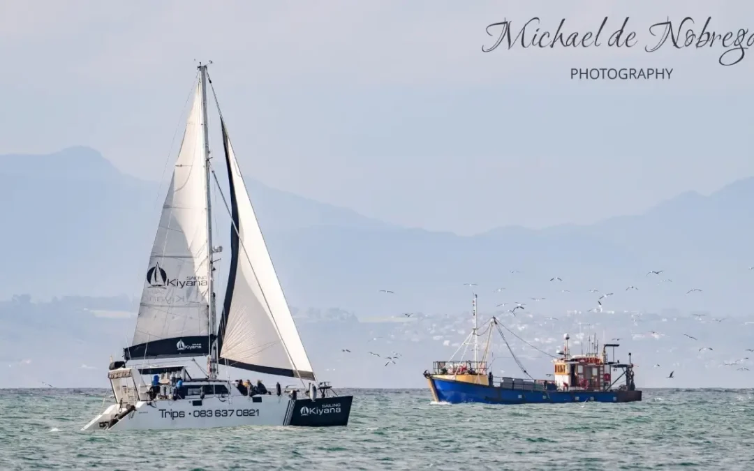 Mossel Bay Sailing Trips