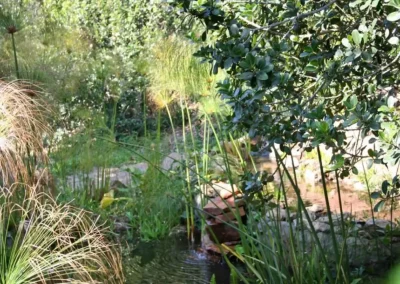 milkwood 5