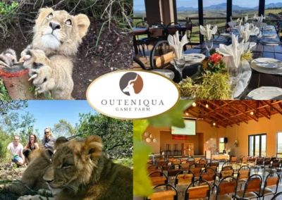 outeniqua game farm gallery 4