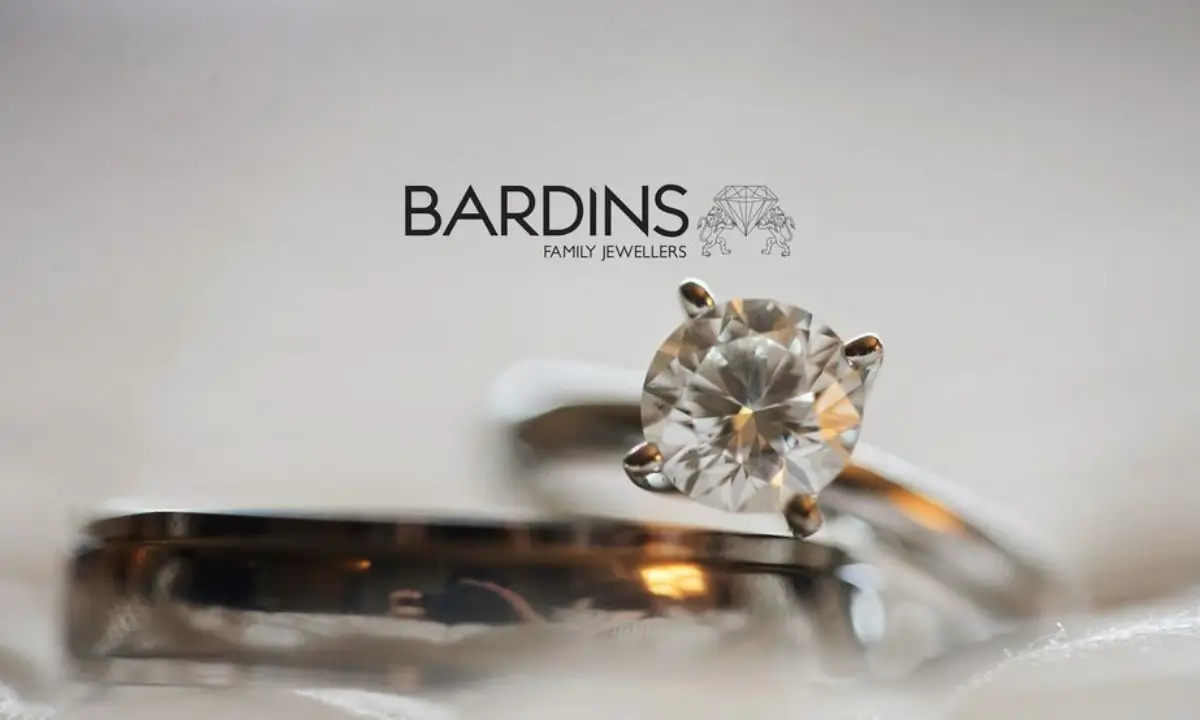 bardins cover