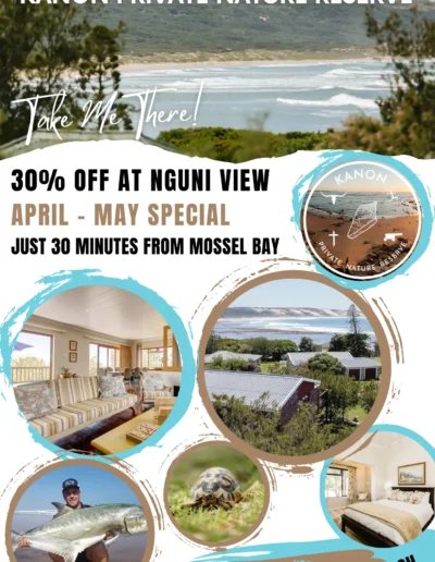 kanon private nature reserve video nguni view