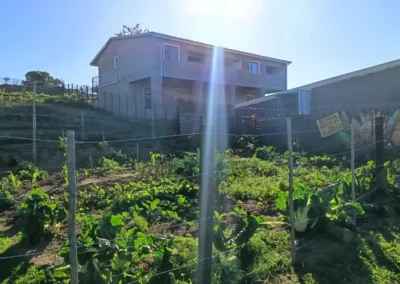 great brak river youth cafe garden project