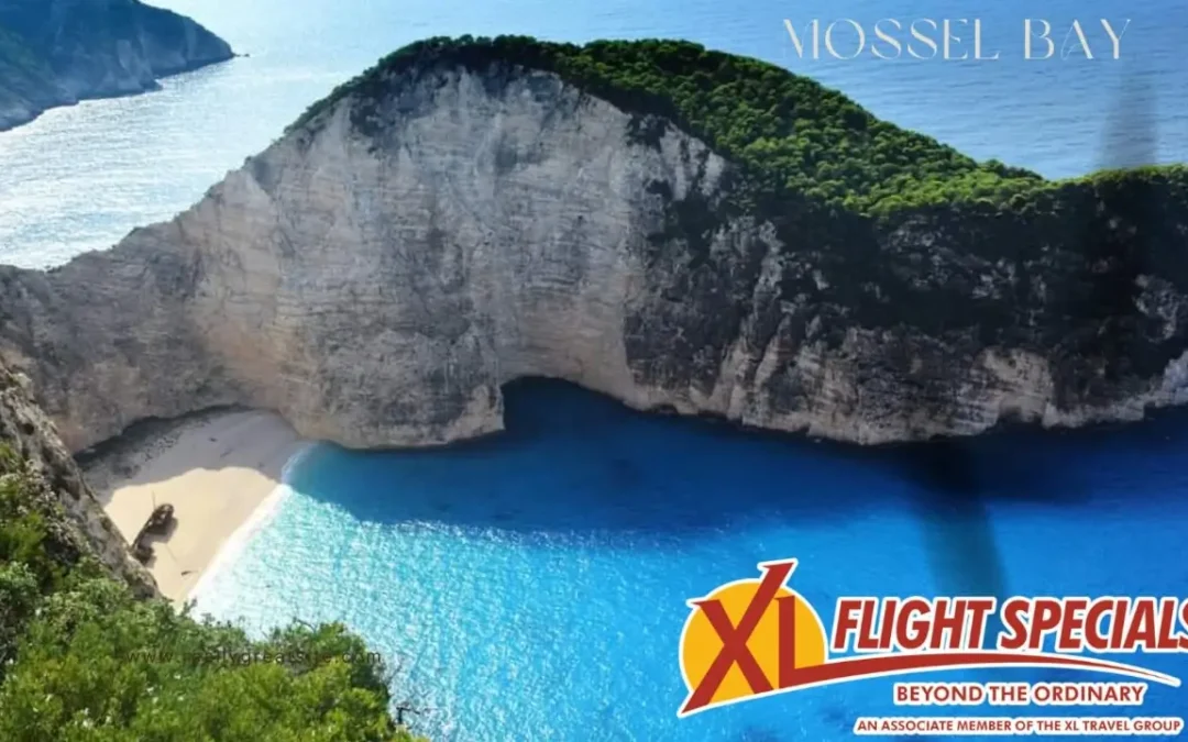 Murex Travel