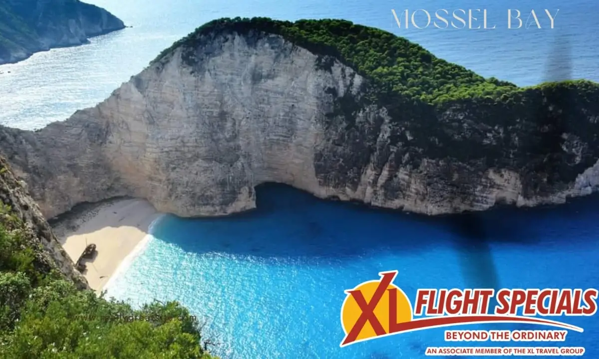 murex travel cover