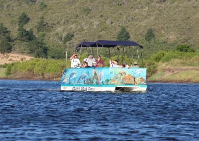ferry rides (1)