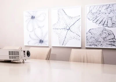garden route hotel board room projector