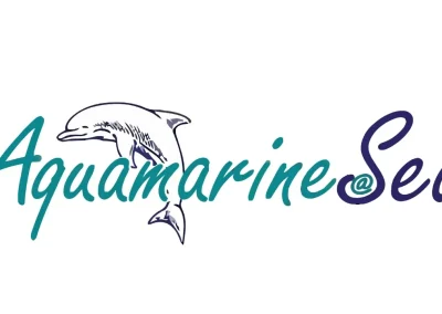 mossel bay waterfront charters gallery 3