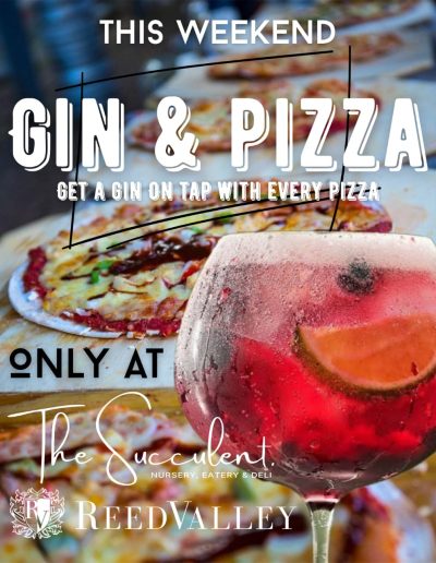 gin on tap special