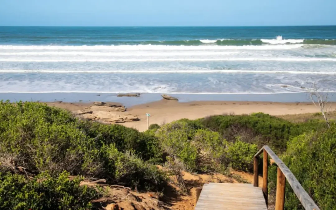Boggomsbaai Birdlife & Picnic Spots