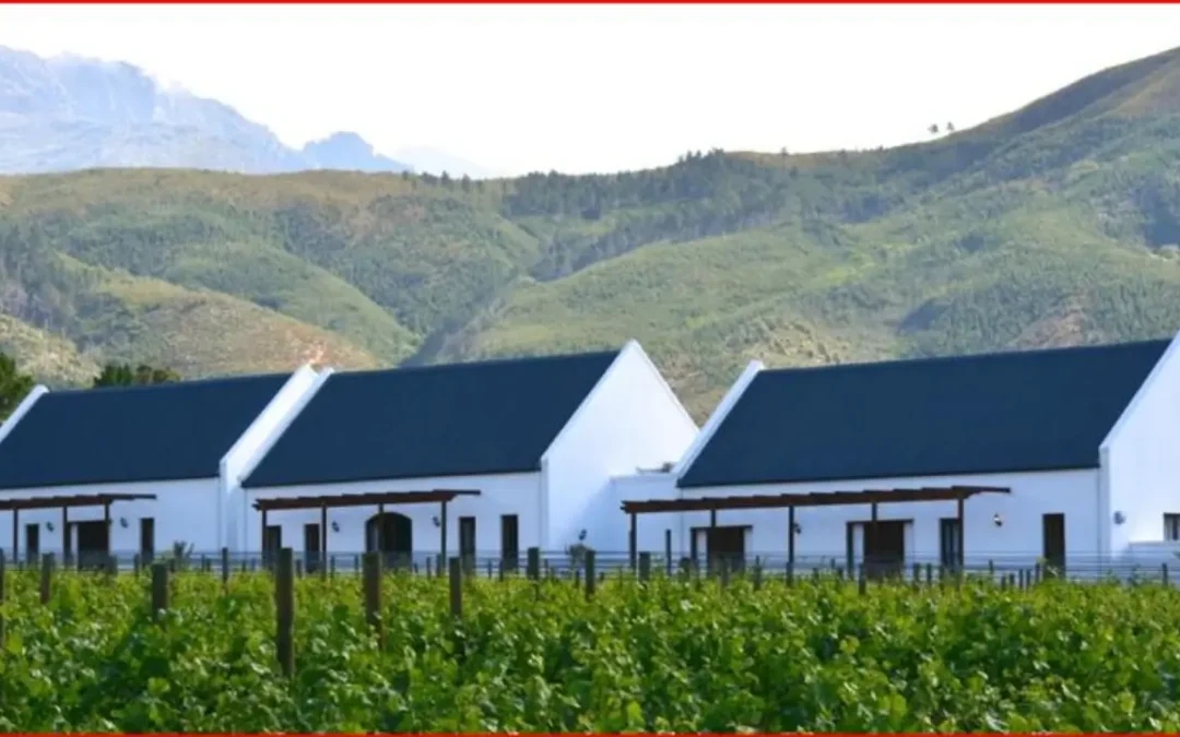 The Hummingbird Braai House
