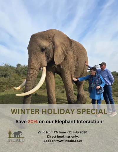 indalu winter special