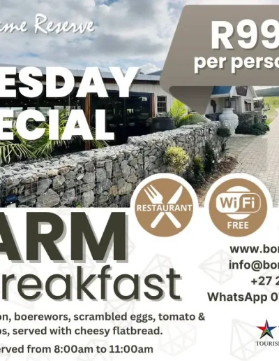 bon tuesday special