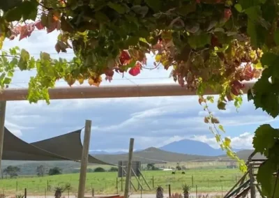 klipheuwel farmstall garden and mountain view (1)