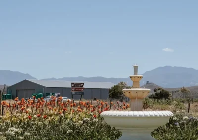 klipheuwel farmstall mountain and fountain view
