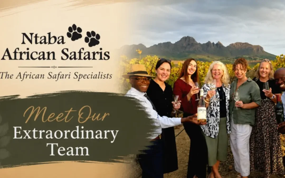 Ntaba African Safaris