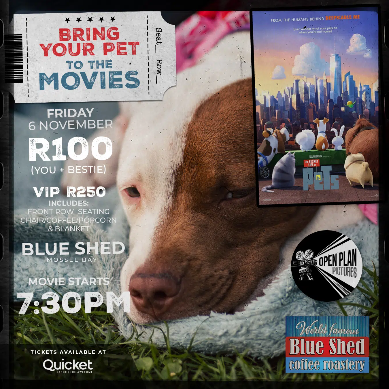 secret life of pets bring your pet blue shed 6 nov 26 19 h 30 secret life of pets bring your pet blue shed 6 nov 26 19 h 30
