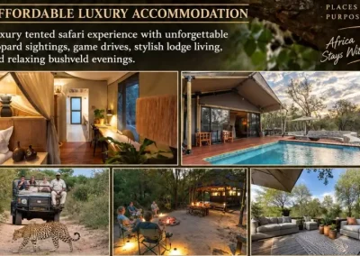 thokozile tours gallery 3